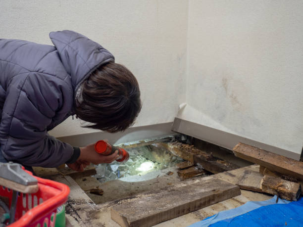 Mold Documentation for Insurance Claims in Delavan, WI