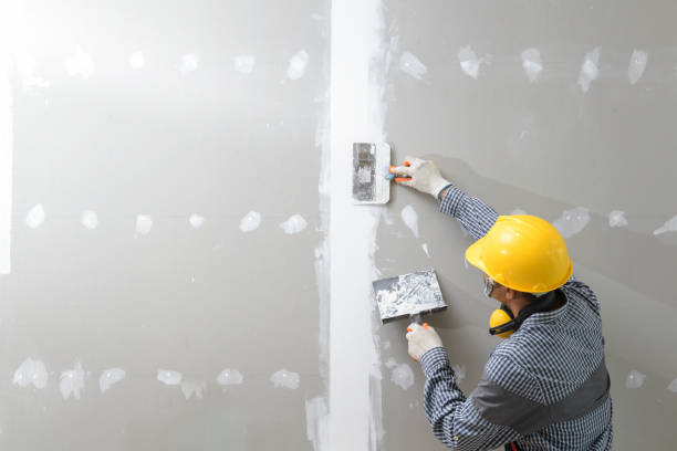 Best Commercial Mold Inspection  in Delavan, WI
