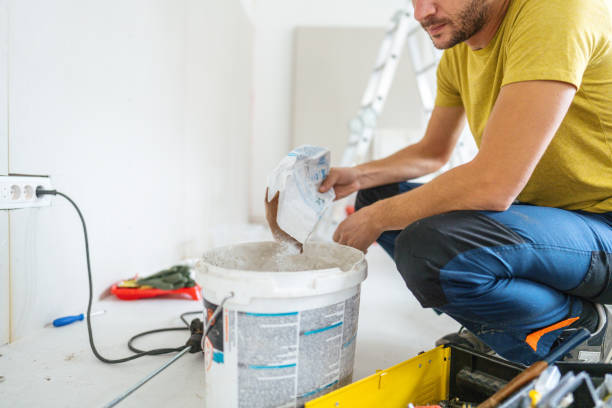Best Attic Mold Removal  in Delavan, WI
