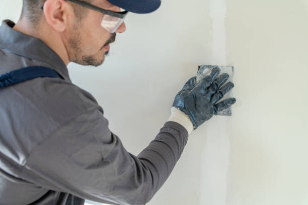 Best Asbestos and Lead Testing During Mold Inspection  in Delavan, WI